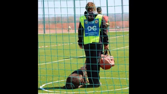 Кубок Волгоградской Области- 19 Зест