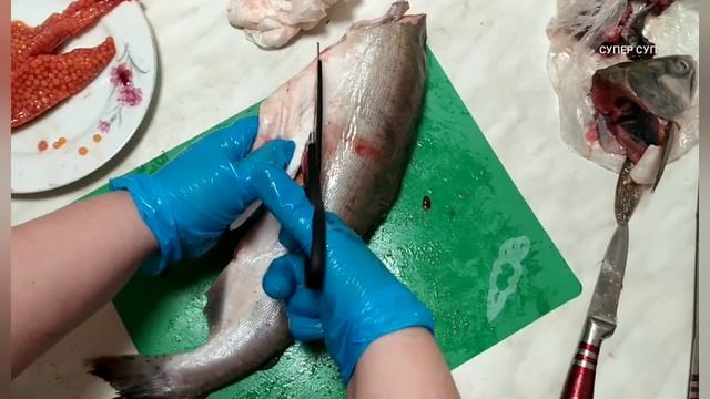 Учебник по Таланту и Творчеству