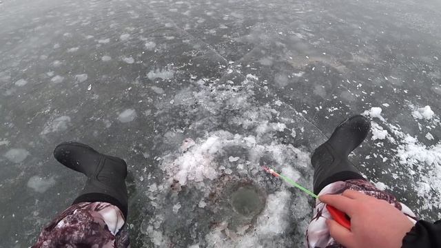 БЕШЕНАЯ ПЛОТВА. Ловля на мормышку зимой. Подводная съемка смотреть онлайн