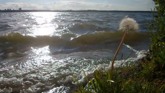 Шарташские трейлы тоже выходят к берегу моря смотреть онлайн