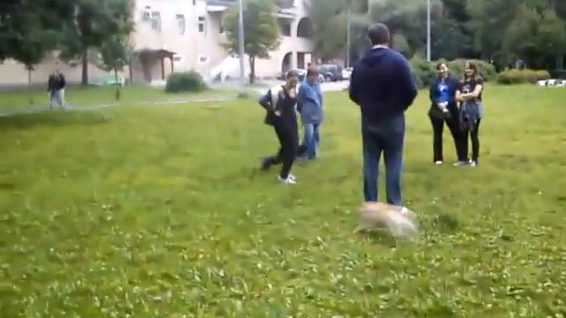 Буффон заводила) смотреть онлайн