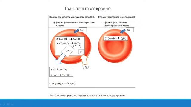 Генинг Т.П. Лекция 21.02.2022