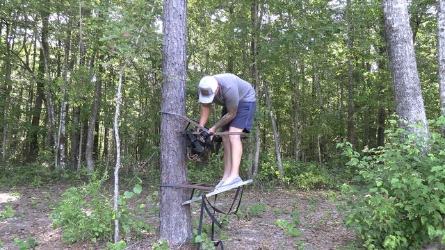 Lone Wolf Wide Sit & Climb Combo II Big Boy Stand! смотреть онлайн