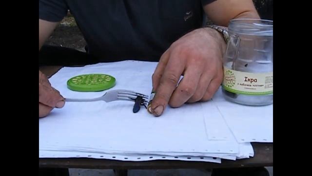 азиатские шершни убийцы смотреть онлайн