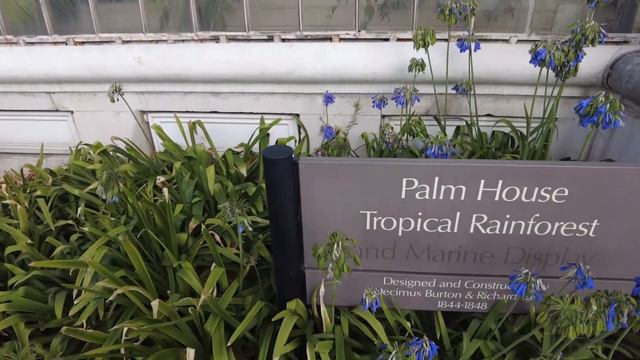 Rose Garden & Palm House Walk @ Kew Gardens. #kewgardens #rose