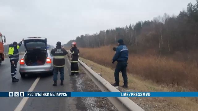 В Осиповичском р-не сотрудники ГАИ и МЧС спасли лебедя на дороге смотреть онлайн