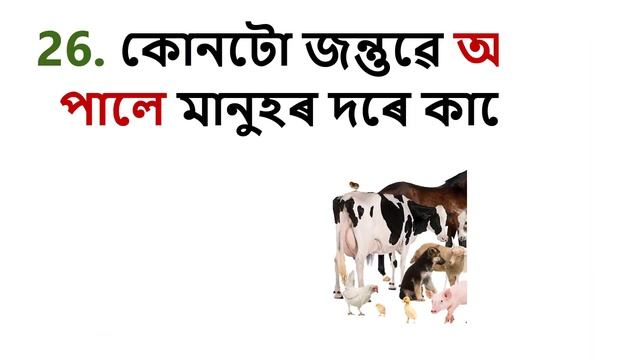 50 টা অসমীয়া সাধাৰণ জ্ঞান প্ৰশ্নোত্তৰ ??| অসমীয়া GK ✅? | Assamese Easy GK | Simple GK Quiz смотреть онлайн