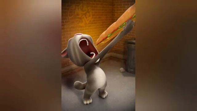 Old Talking Tom VS New Talking Tom смотреть онлайн