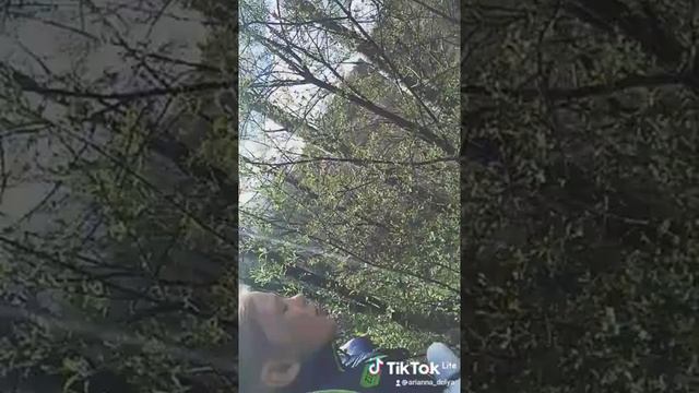 я на даче на гору залезла и сижу? смотреть онлайн