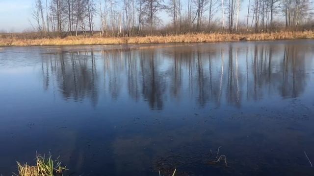 Fish_Drezna#live ( соберём лайки и тогда на канале появиться полное видео )