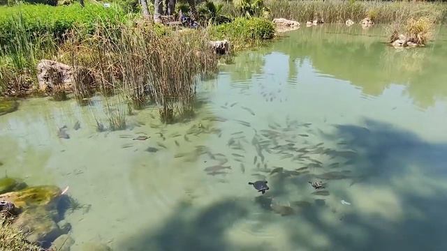 Турция 2022 ❗ ТУРЦИЯ СЕГОДНЯ❗  Новости Турции.  Отдых в Турции 2022