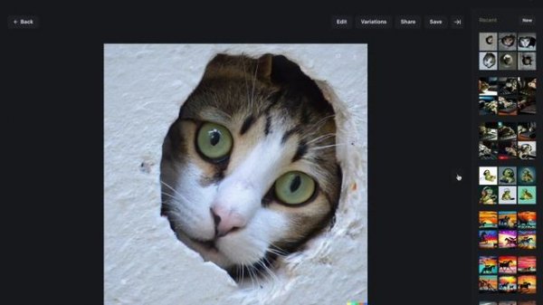 DALL·E  create image only from text input.