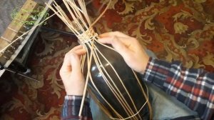 Как оплести бутыль для вина лозой ивы Начало плетения