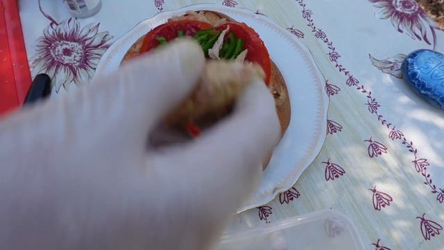Les SECRETS de la CHAMPIONNE du MONDE de PAN BAGNAT ! - VLOG 1189 смотреть онлайн
