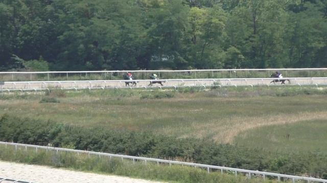 7.07.2018 - 2 Скачка на лошадях 2-х лет чистокровной верховой породы - Смерч смотреть онлайн