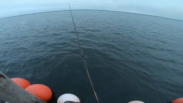 Flounder (Fluke) Fishing From Docks And Piers