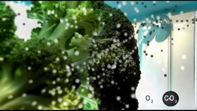 Набор "Умный Холодильник" смотреть онлайн