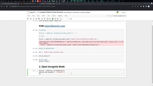 SELENIUM: How to OPEN With Incognito PRIVATE BROWSER Chrome #2 смотреть онлайн