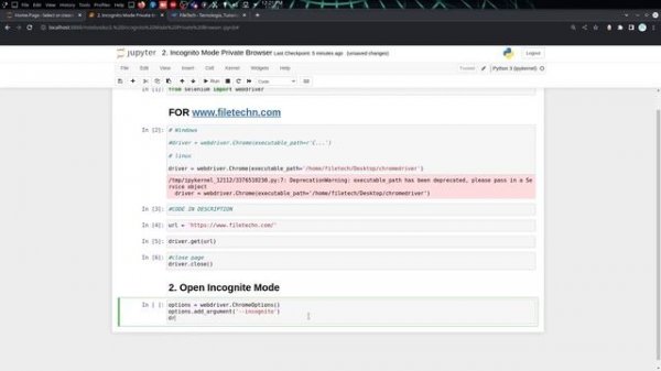 SELENIUM: How to OPEN With Incognito PRIVATE BROWSER Chrome #2