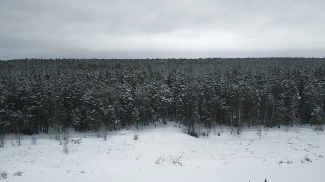 Зимний лес / Торжок / DJI Mini 3 Pro смотреть онлайн