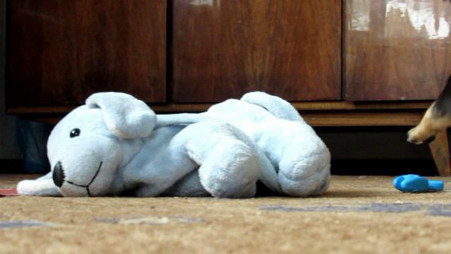 Волкодав Ляля