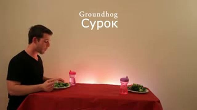 How Animals Eat Their Food Kak zhivotnye edyat svoyu pischu 240 смотреть онлайн
