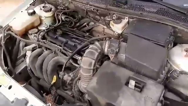 Rad motora ford focus 1.6 16v 74kw 2001 (prodan motor) смотреть онлайн