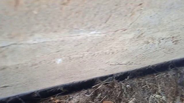 ФУНДАМЕНТ ..ЛОПНУЛА ЗЕМЛЯ..ТЕПЛО НАШЛО ВЫХОД... смотреть онлайн