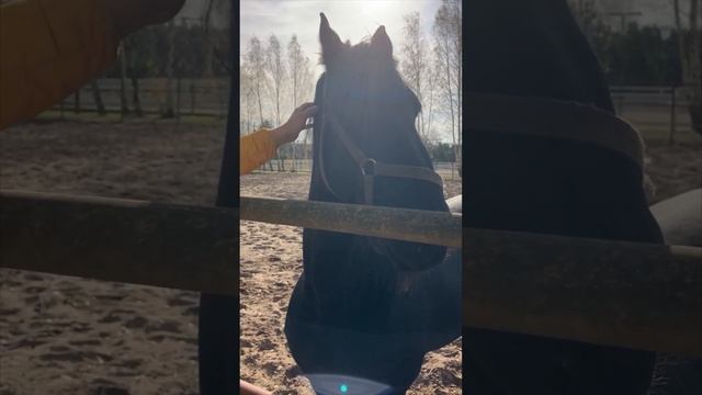 Обзор ЛОК Александровская Слобода смотреть онлайн