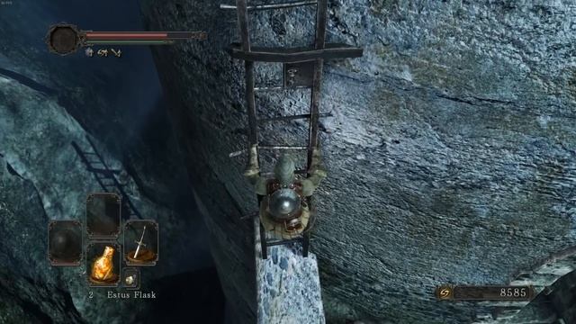 THE PURSUER & Totally Normal Bird Talk - DS2 Augur Of Darkness Funny Moments #3 смотреть онлайн