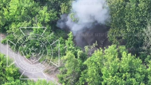 Дроны-камикадзе группировки 