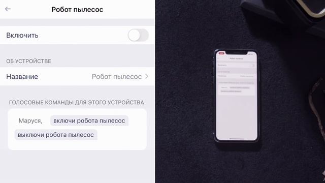 Подключение к голосовому помощнику Маруся (на примере робота-пылесоса Polaris IQ Home) смотреть онлайн