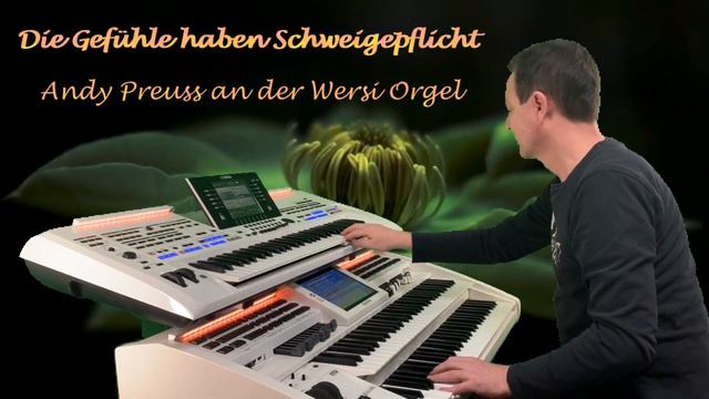 Die Gefühle haben Schweigepflicht 🌹 Andy Preuss an der Wersi Orgel - Instrumental Cover смотреть онлайн