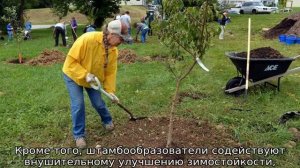 Абрикос в Подмосковье: выращивание