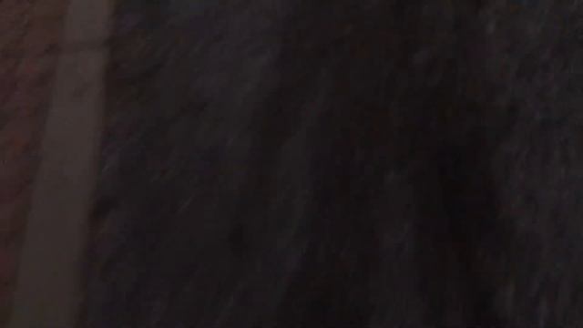 Iphone 5 vs BMW (crash test) смотреть онлайн