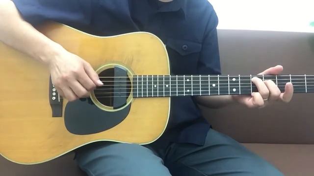 Martin D-28 1980 with Sunrize S-2 [LAST GUITAR] смотреть онлайн