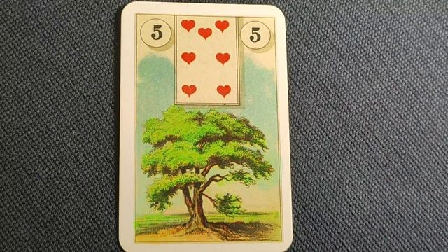 карта дня на 20.12.2022? Oracle Lenormand смотреть онлайн