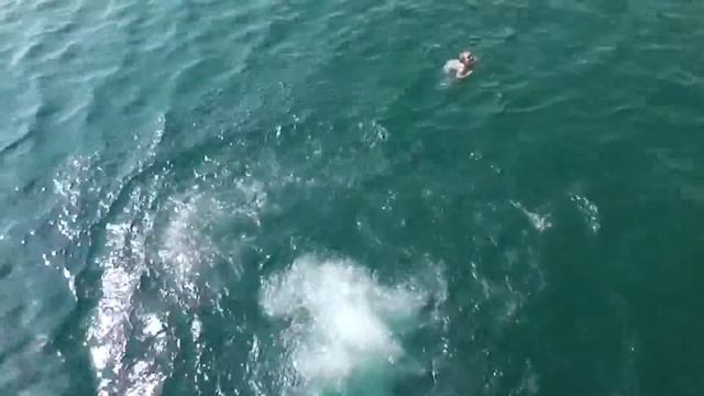 Отдых в Сочи, отдыхайте. шикарный Отдых в Сочи смотреть онлайн