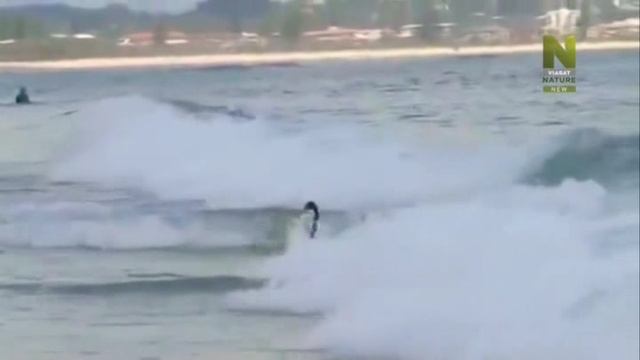 1 смотреть онлайн