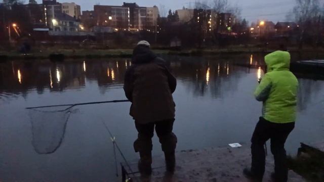 Светлые Горы Форель 07.11.23 смотреть онлайн