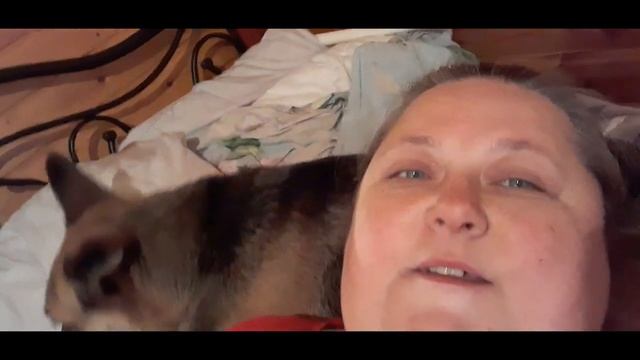 Зима и питомцы дома отдыхают, печка и тепло. смотреть онлайн