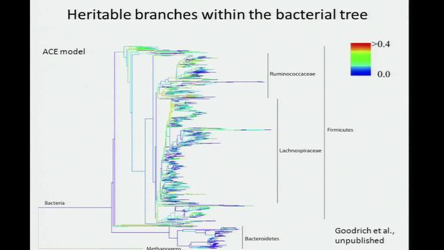 Microbiome Colonization and Assembly - Ruth Ley смотреть онлайн
