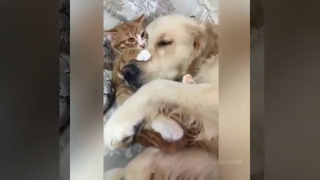 Друзья очень любят друг друга смотреть онлайн