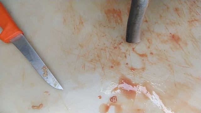 МИНОГА ЖАРЕНО МАРИНОВАННАЯ смотреть онлайн