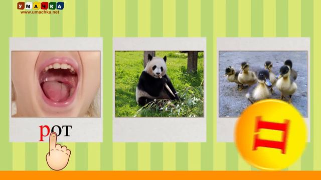 Алфавит Читать Учим с Кругляшиком Буквы и Звуки - Буква П смотреть онлайн