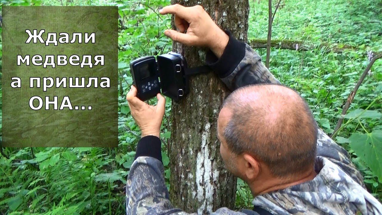 Ждали медведя и кабана, а пришла - ОНА.... смотреть онлайн