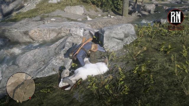 RDR2 Legendary Big Horn Ram Location and Ram Horn Trinket guide | 2x Herbs | Red Dead Redemption 2 смотреть онлайн