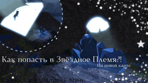 КАК ПОПАСТЬ В ЗВЁЗДНОЕ ПЛЕМЯ? Warrior Cats: Ultimate Edition - Roblox