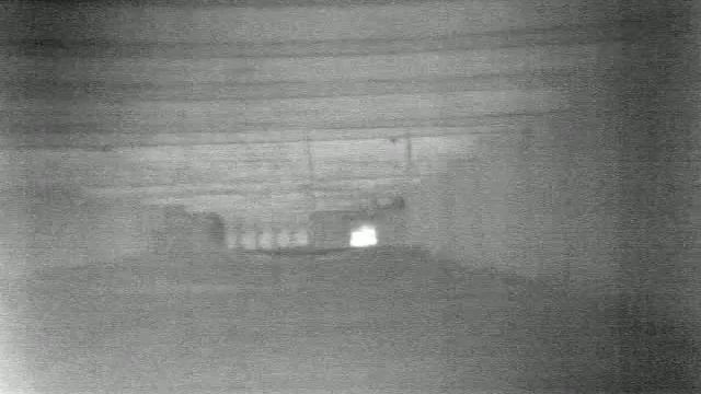 тепловизор пристрелка! смотреть онлайн