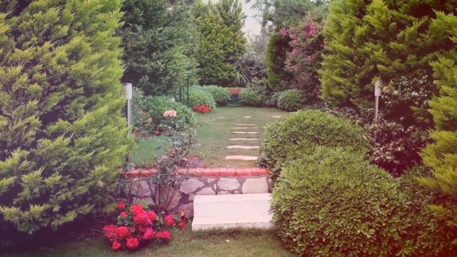 ?Прекрасные примеры ландшафтного дизайна / Ideas for the garden / A - Video смотреть онлайн